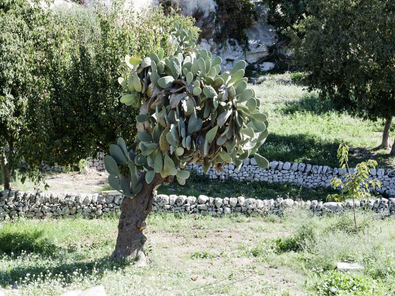 Valle Dell'Acanto Модіка Екстер'єр фото